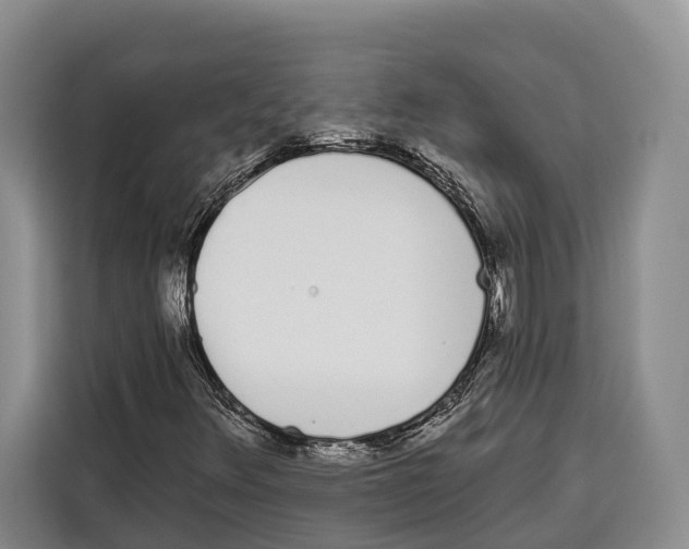 X0000115111348200911241319