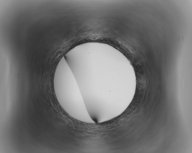 X0000115111349200911241319