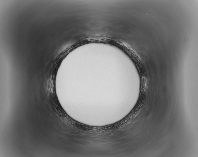 X0000115111350200911241319