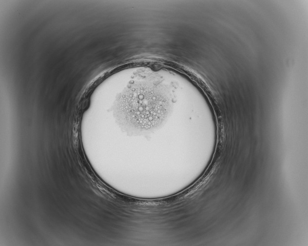 X0000115111355200911241319