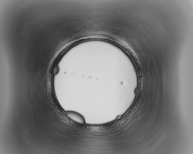 X0000115111360200911241319