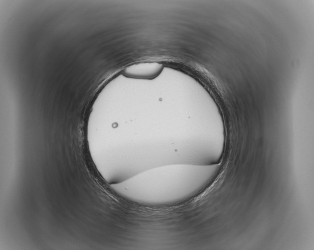 X0000115111361200911241319