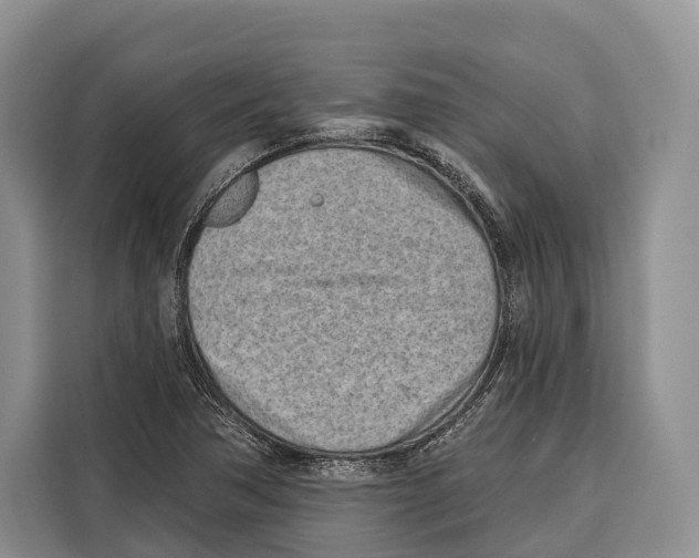X0000115111362200911241319