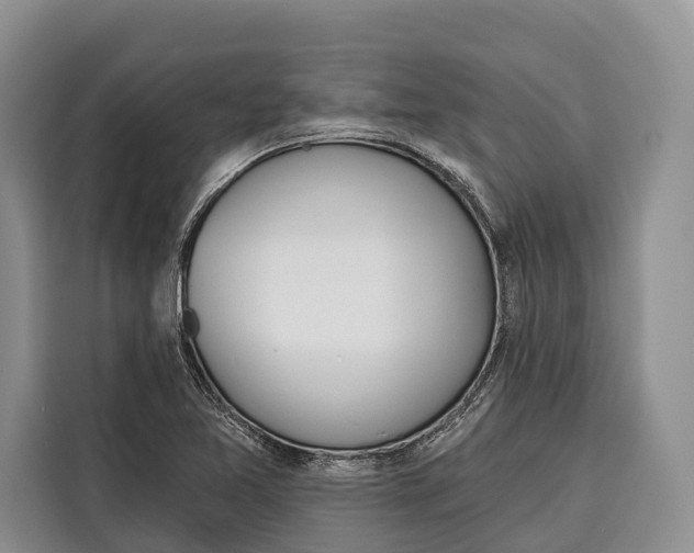 X0000115111365200911241319