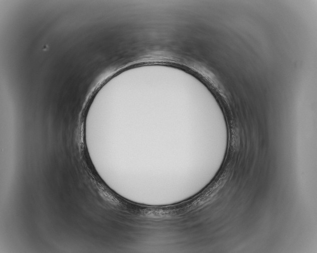 X0000115111366200911241319