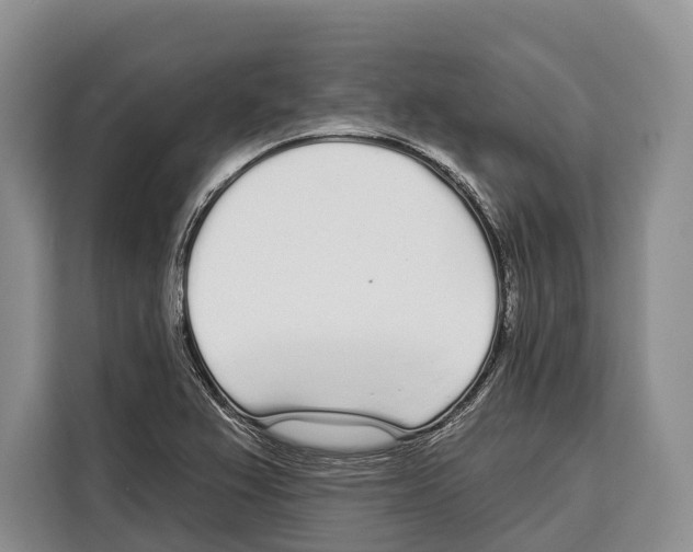 X0000115111367200911241319