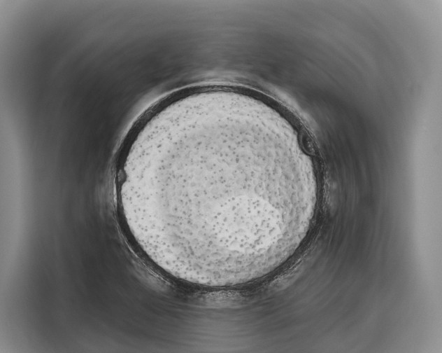 X0000115111368200911241319