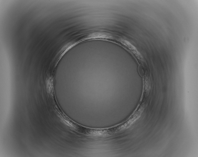 X0000115111369200911241319