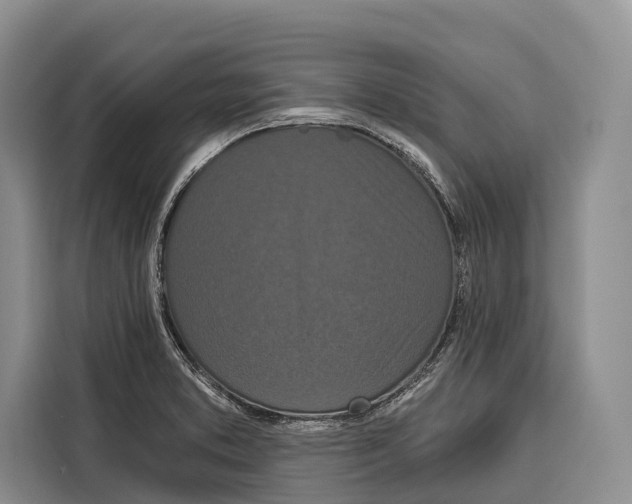 X0000115111373200911241318