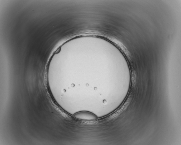 X0000115111374200911241318