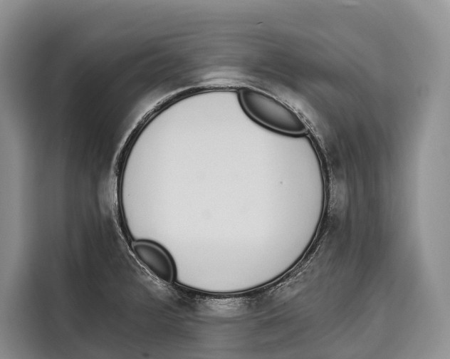 X0000115111376200911241318