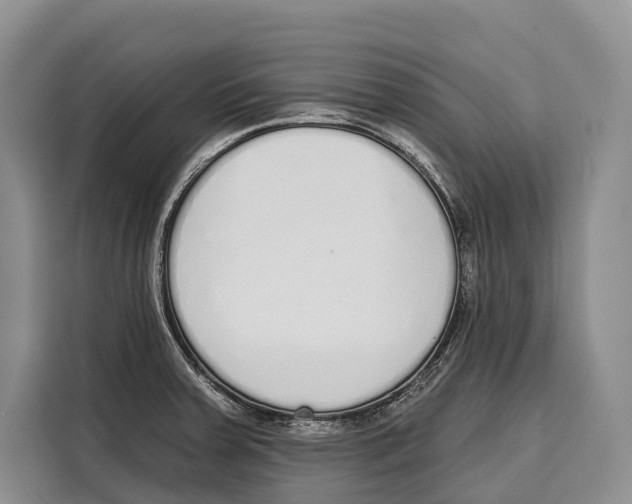 X0000115111379200911241318