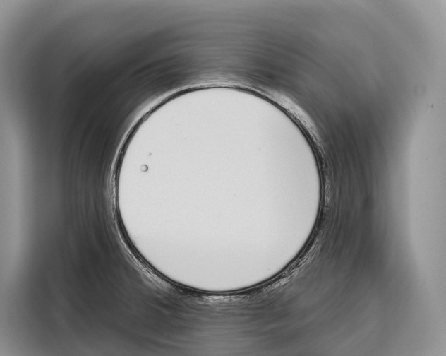 X0000115111380200911241318