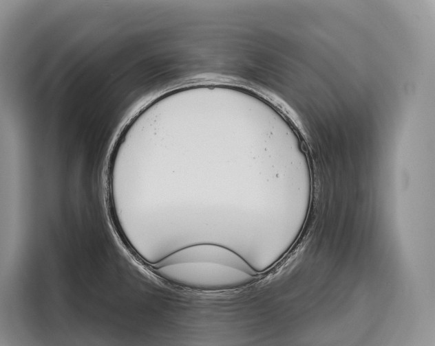 X0000115111381200911241318