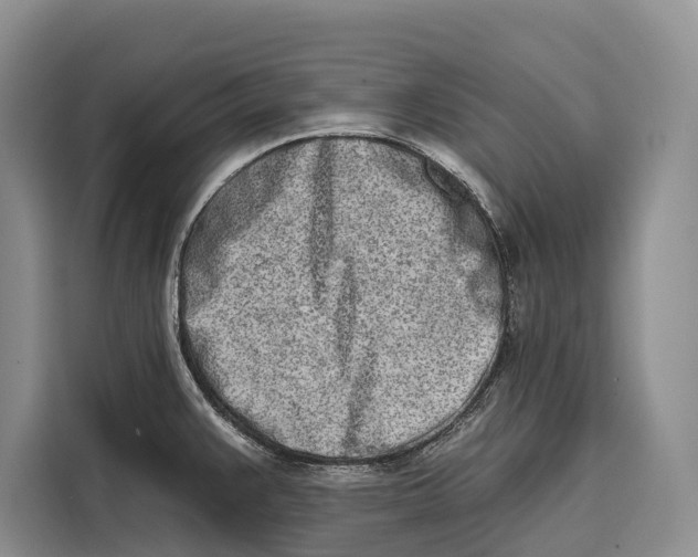 X0000115111383200911241318