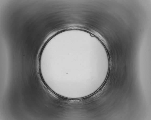 X0000115111384200911241318