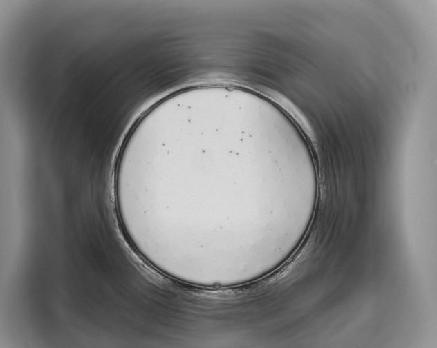 X0000115111388200911241318