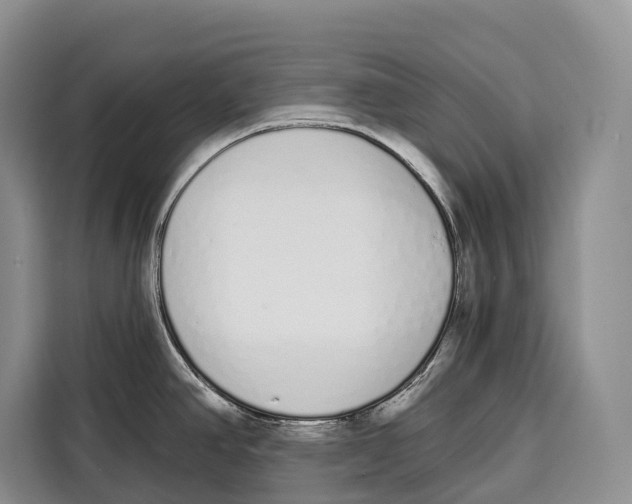 X0000115111390200911241318