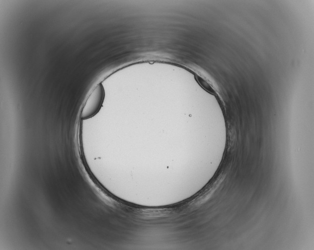 X0000115111391200911241318