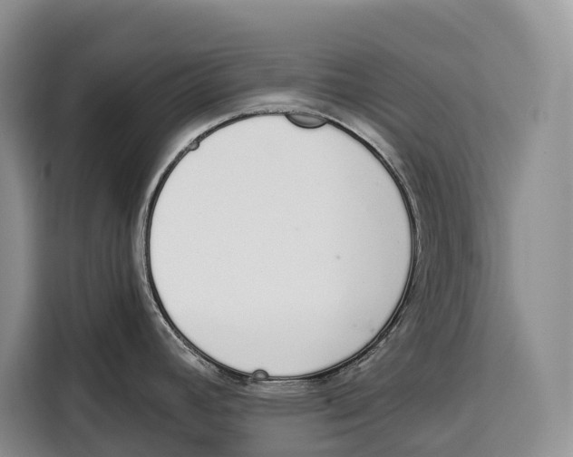 X0000115111392200911241318