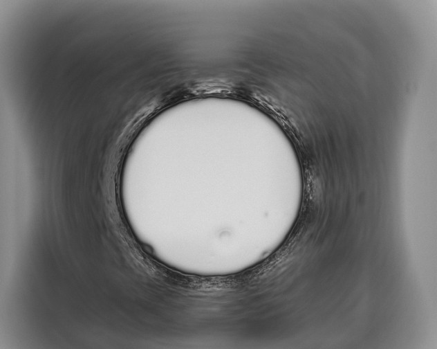 X0000115111393200911241318