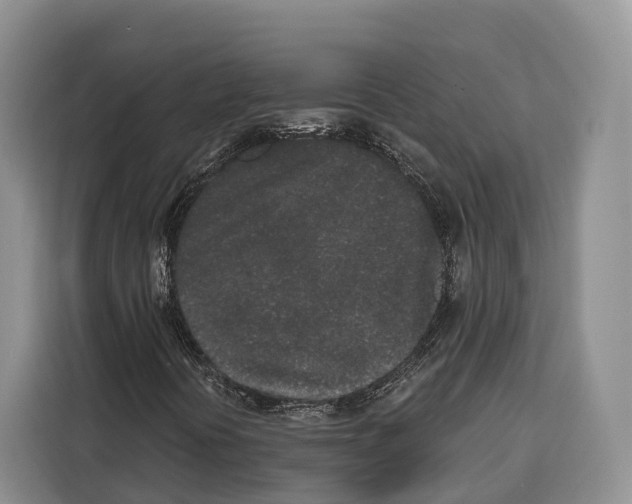 X0000115111394200911241318