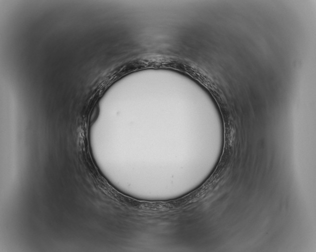 X0000115111397200911241318
