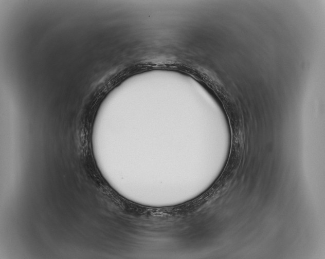 X0000115111398200911241318