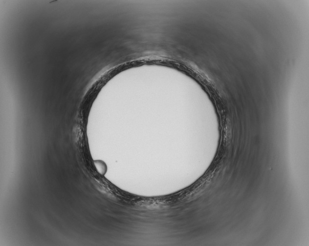 X0000115111400200911241318