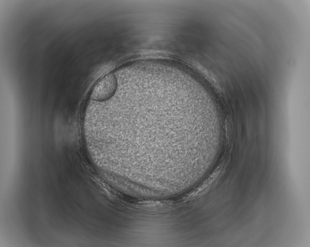 X0000115111405200911241318