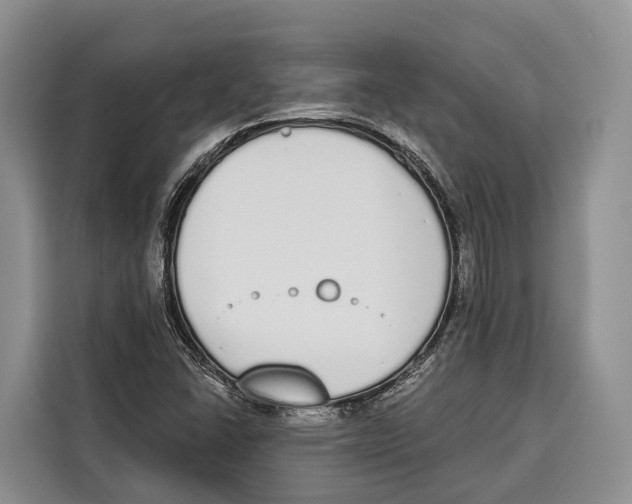 X0000115111406200911241318