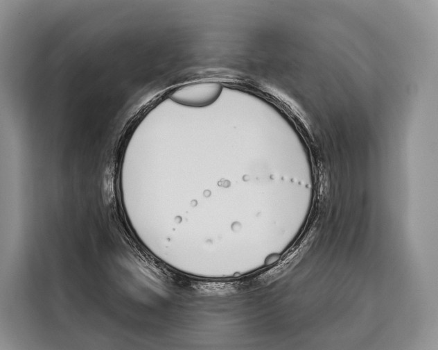 X0000115111407200911241318