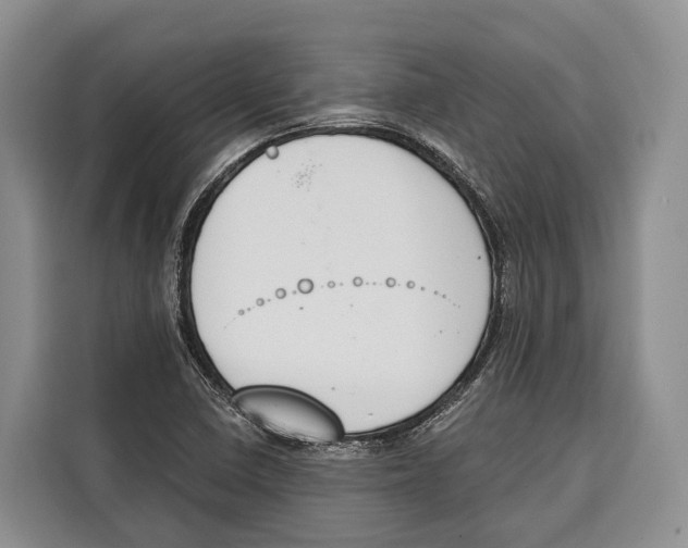 X0000115111410200911241318