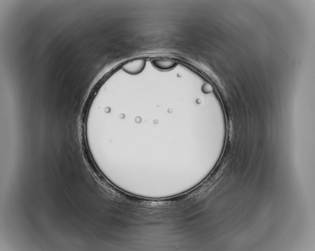 X0000115111412200911241318