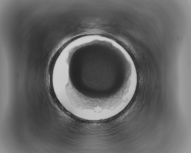 X0000115111414200911241318