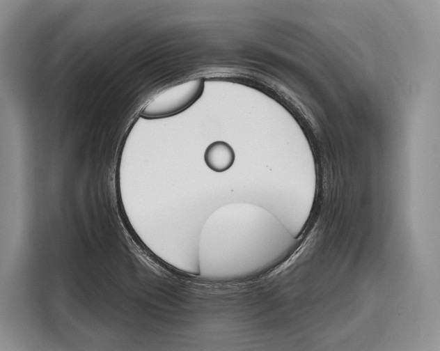 X0000115111417200911241318