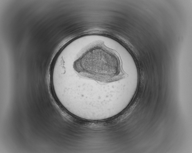 X0000115111418200911241318