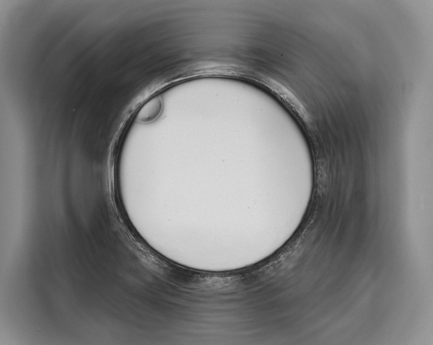 X0000115111419200911241318