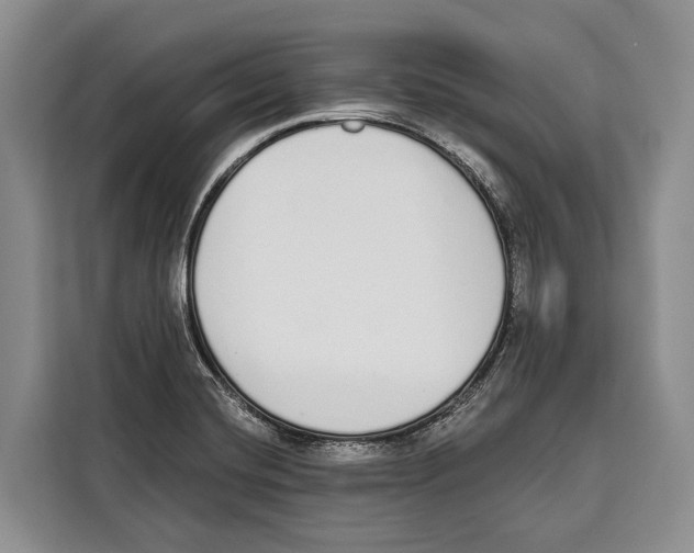 X0000115111420200911241318