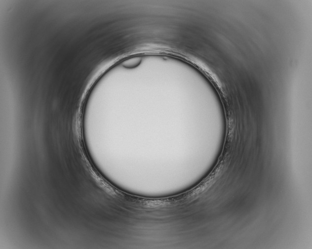 X0000115111421200911241318