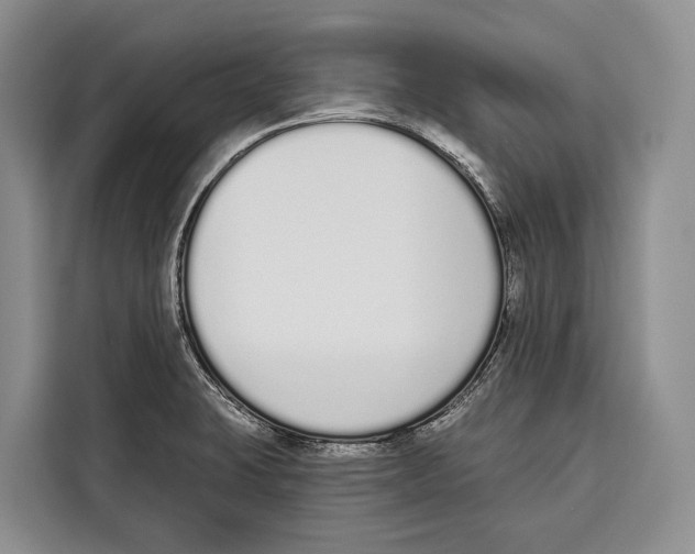 X0000115111423200911241318