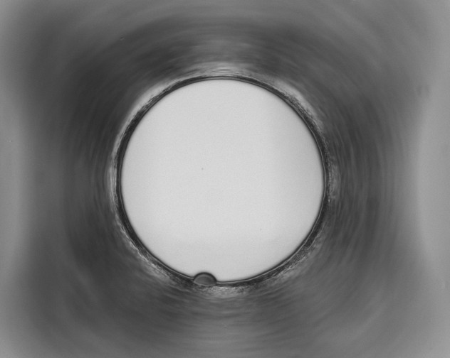 X0000115111424200911241318