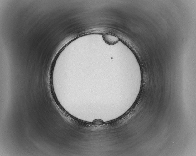 X0000115111426200911241318
