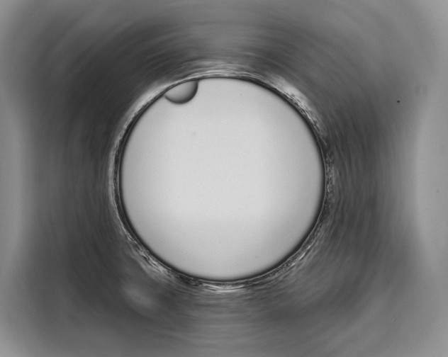 X0000115111427200911241318