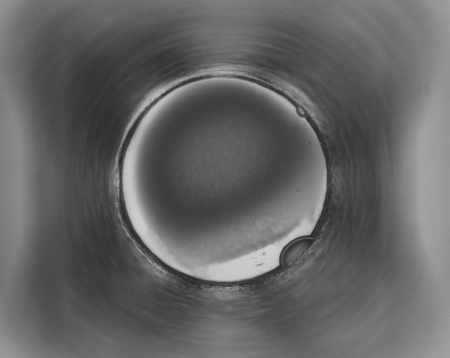 X0000115111428200911241318