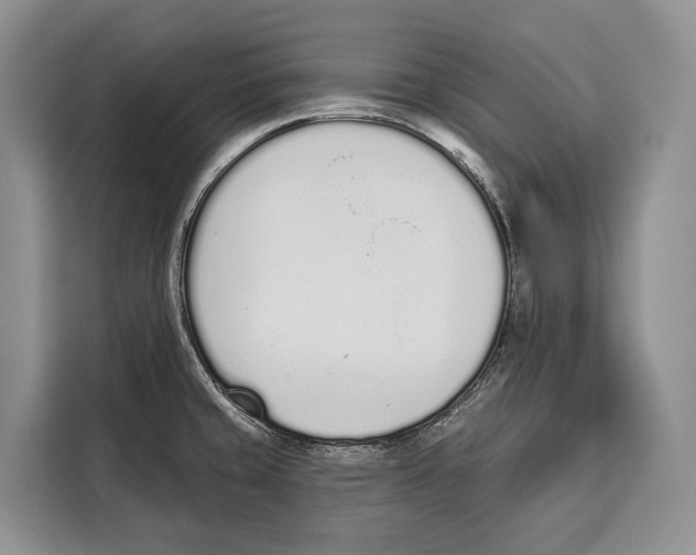 X0000115111429200911241318