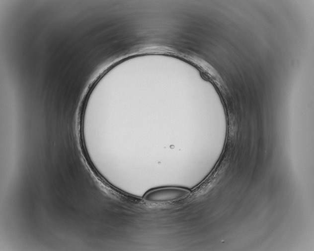 X0000115111430200911241318