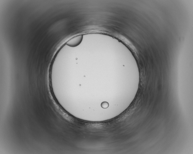 X0000115111431200911241318