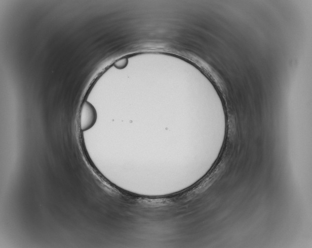 X0000115111432200911241318