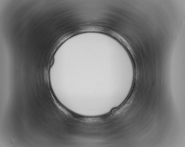X0000115111433200911241318